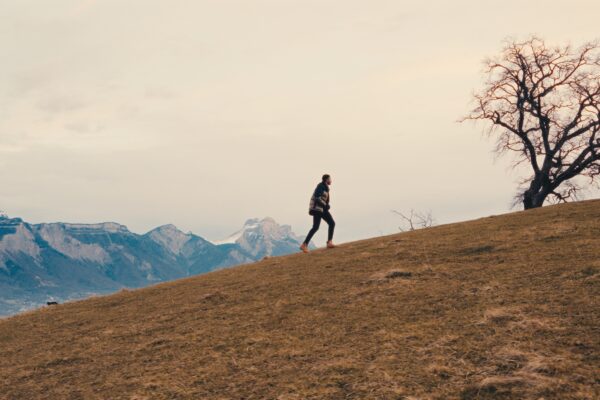 Still 2025-04-22 121855_1.14.1